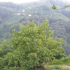 Korgan Aşağıkozpınar Köyü Resimleri 4