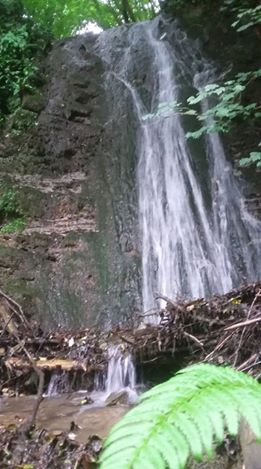 Korgan Aşağıyaylacık Köyü Resimleri 6