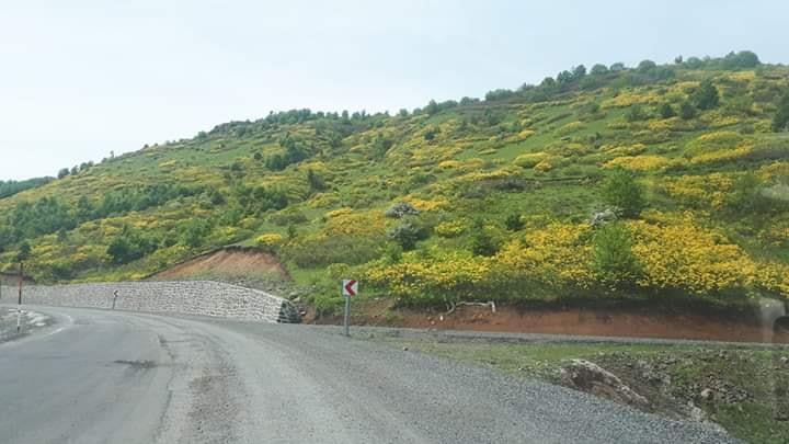 Korgan Belalan Köyü Resimleri 6