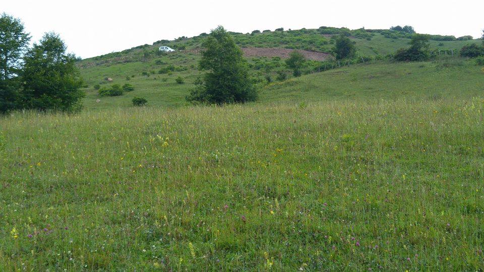 Korgan Beypınarı Köyü Resimleri 6