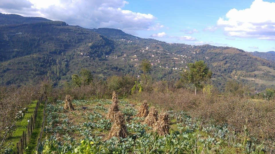 Korgan Büyükakçakese Köyü Resimleri 5
