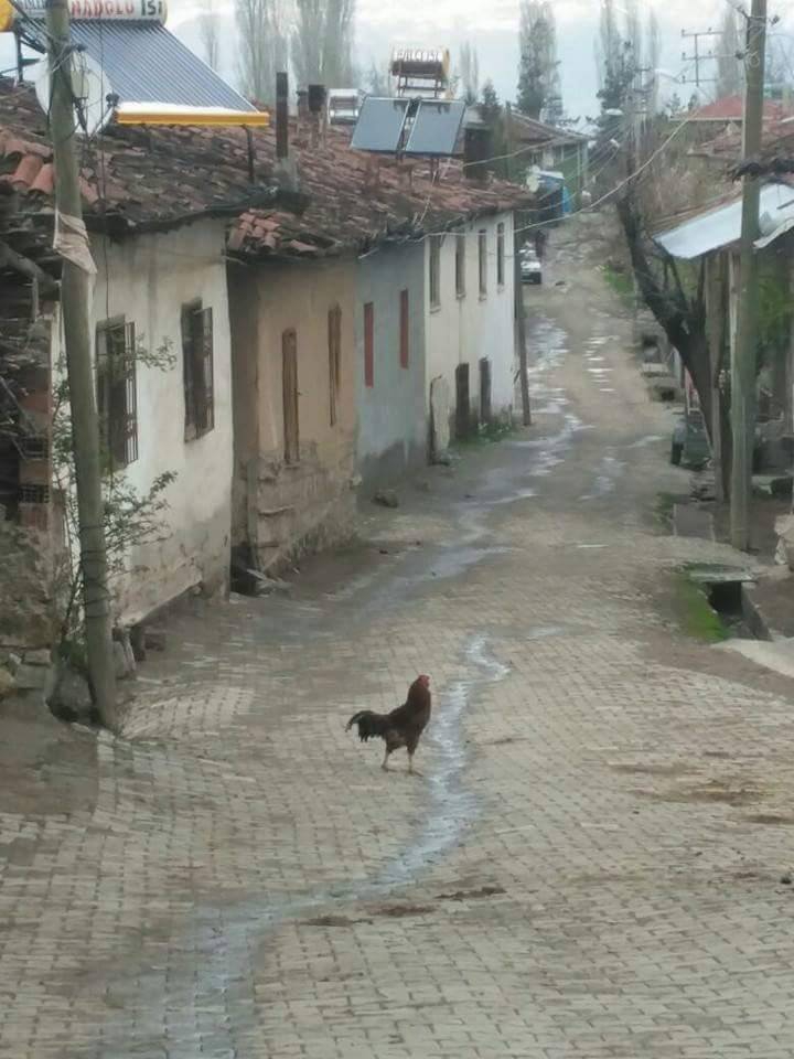 Erbaa Aydınsofu Köyü Resimleri 1