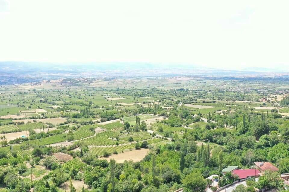 Erbaa Bağpınar Köyü Resimleri 3