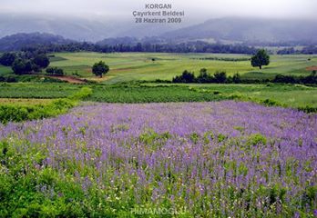 Korgan Çayırkent Köyü Resimleri 9