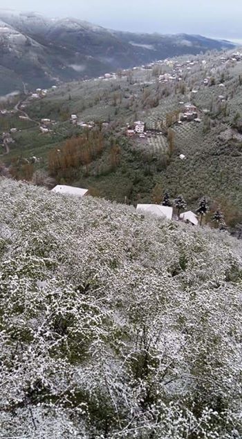 Korgan Çiftlik Köyü Resimleri 3