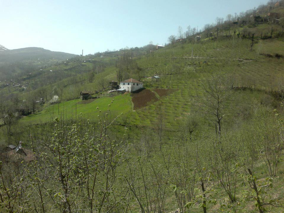 Korgan Çitlice Köyü Resimleri 1