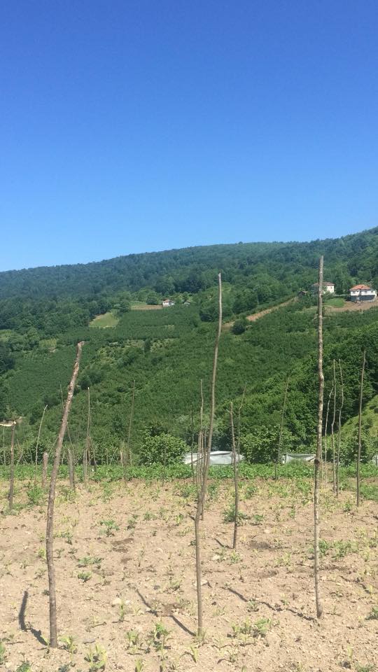 Korgan Karakışla Köyü Resimleri 4