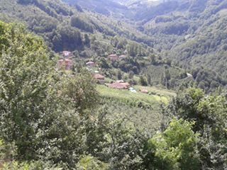 Korgan Koççuğaz Köyü Resimleri 4