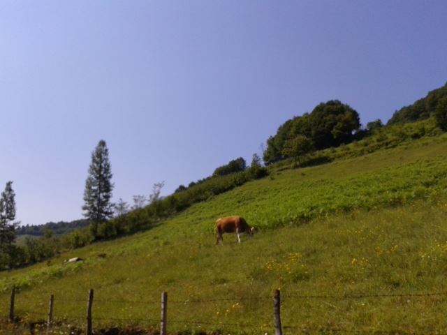 Korgan Koççuğaz Köyü Resimleri 5