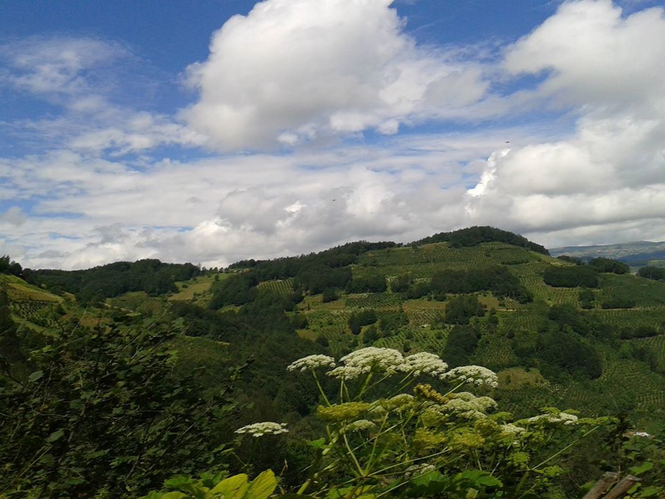 Korgan Koççuğaz Köyü Resimleri 6