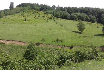 Korgan Koççuğaz Köyü Resimleri 9