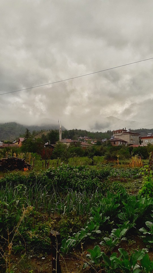 Erbaa Ballıbağ Köyü Resimleri 1