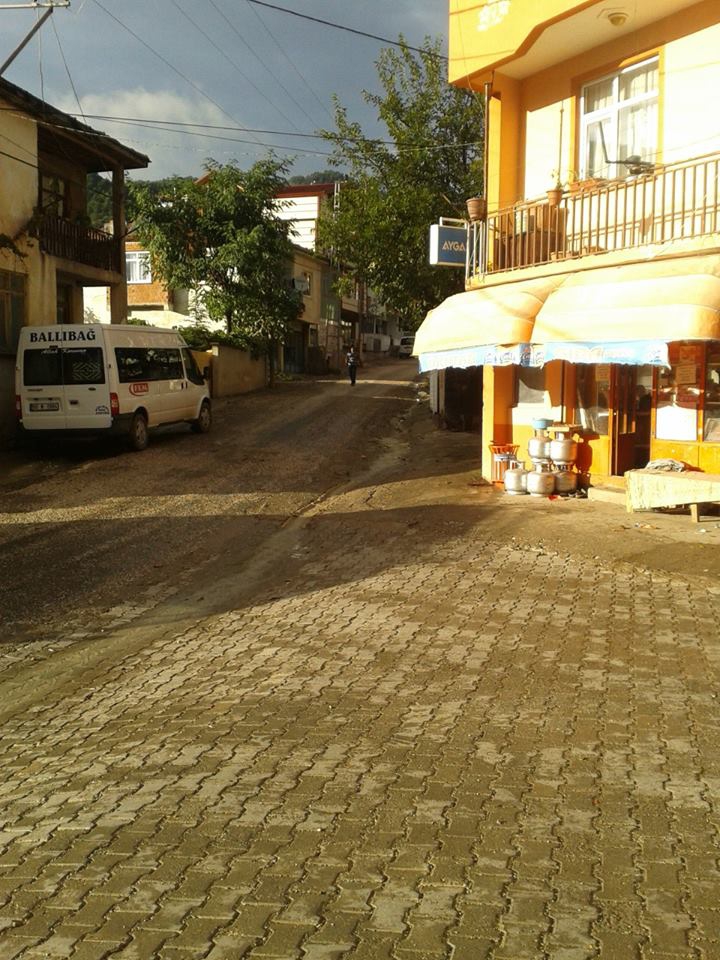 Erbaa Ballıbağ Köyü Resimleri 7