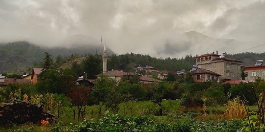 Erbaa Ballıbağ Köyü Resimleri