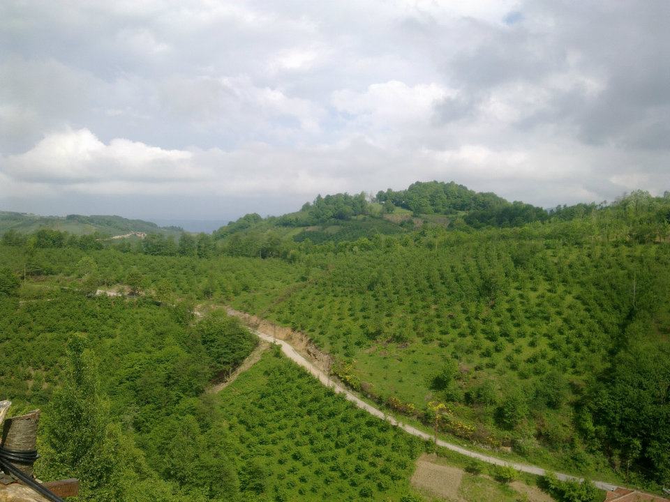 Korgan Sarıalıç Köyü Resimleri 1