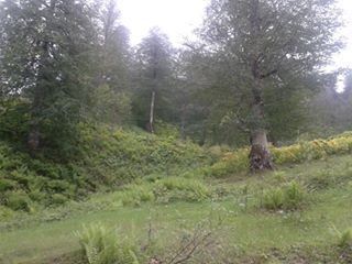 Korgan Sarıalıç Köyü Resimleri 3