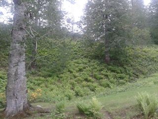 Korgan Sarıalıç Köyü Resimleri 4