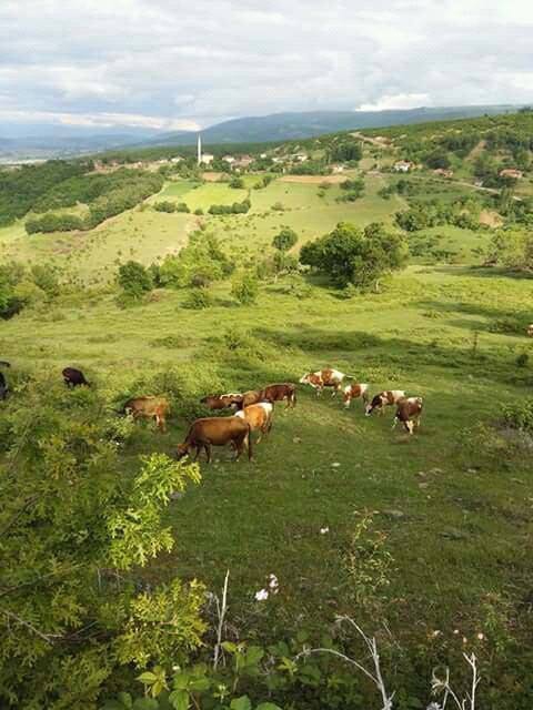 Erbaa Benli Köyü Resimleri 12