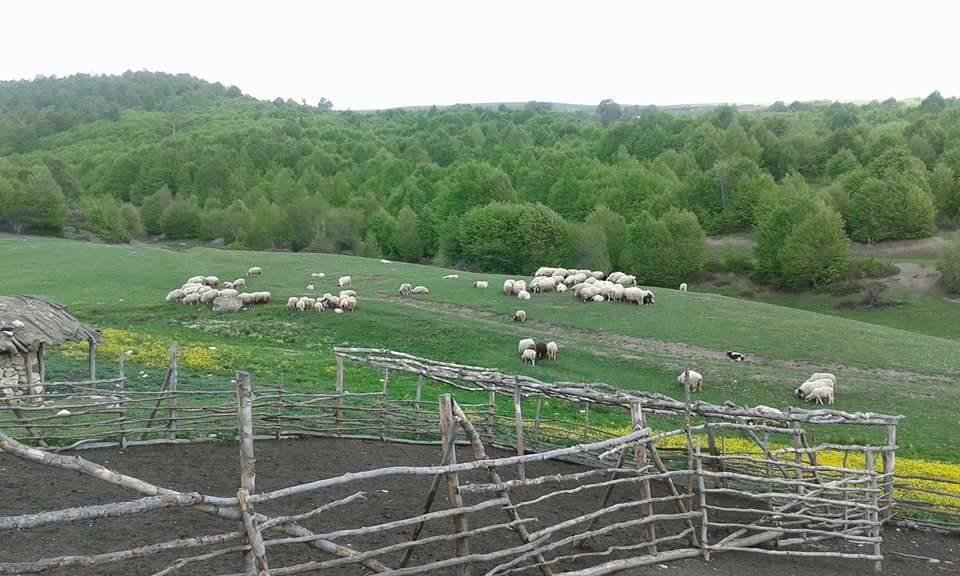 Erbaa Benli Köyü Resimleri 14