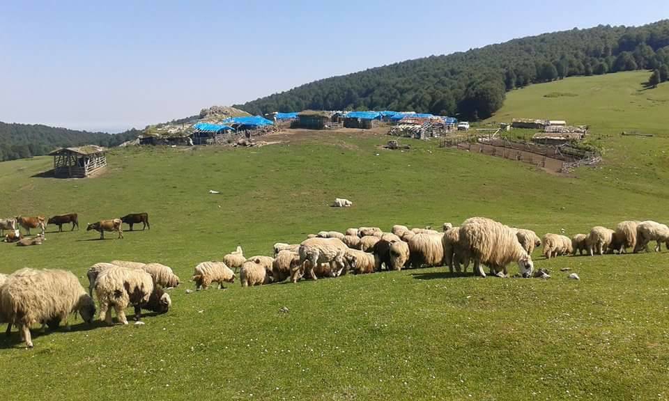 Erbaa Benli Köyü Resimleri 9