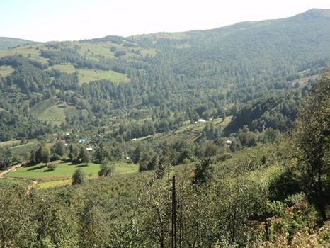 Korgan Tepealan Köyü Resimleri 1