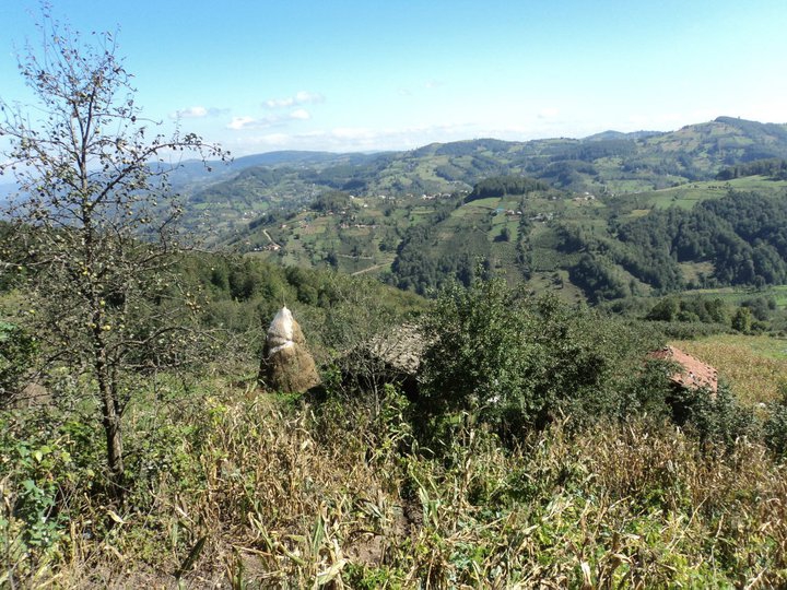 Korgan Tepealan Köyü Resimleri 2