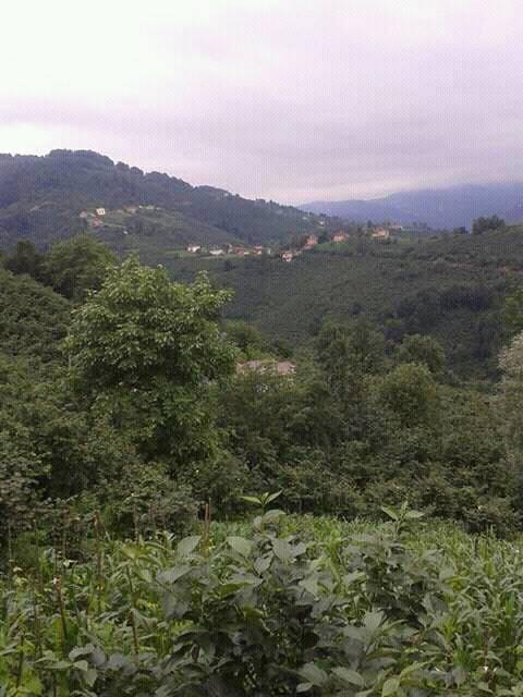 Korgan Tepealan Köyü Resimleri 4