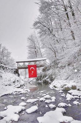 Korgan Tepealan Köyü Resimleri 6