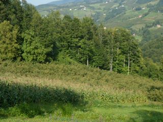 Korgan Terzili Köyü Resimleri 1