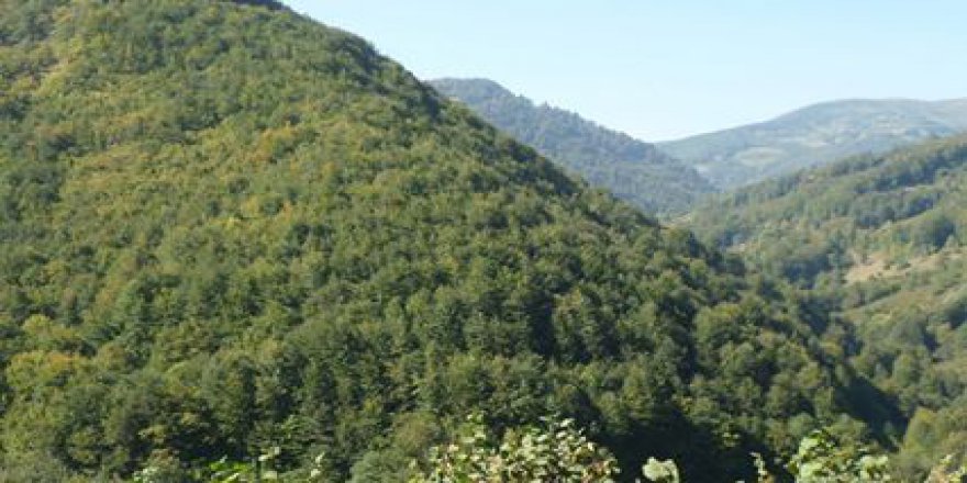 Korgan Terzili Köyü Resimleri