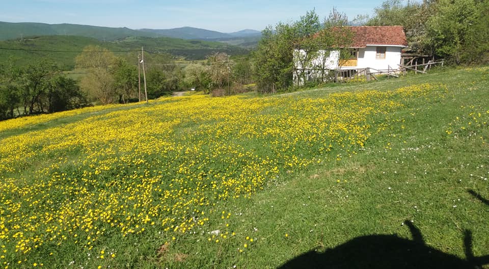 Erbaa Canbolat Köyü Resimleri 3