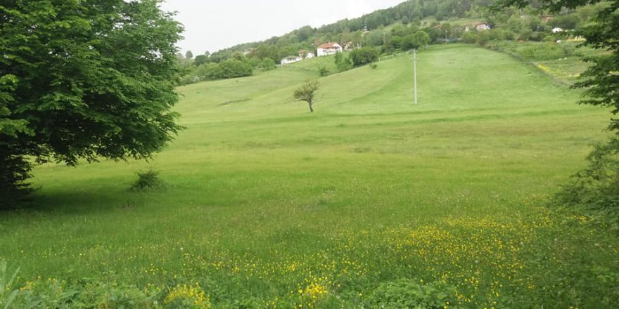 Erbaa Canbolat Köyü Resimleri