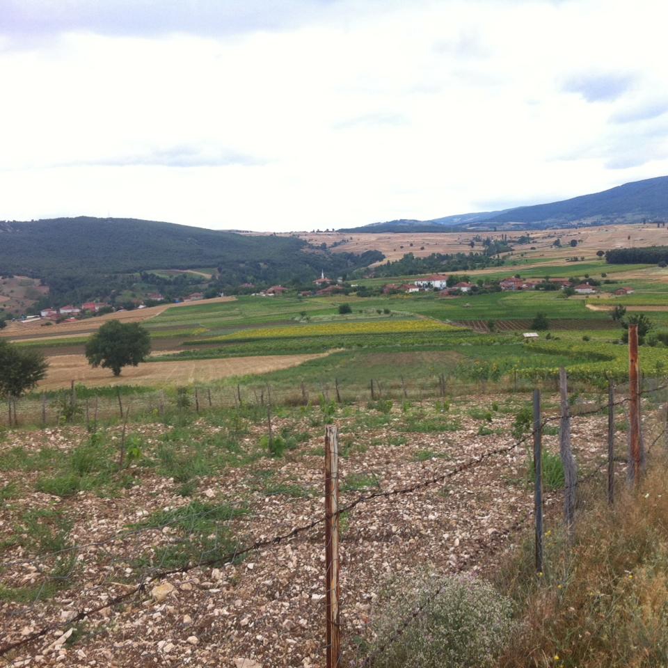 Erbaa Çakır Köyü Resimleri 3