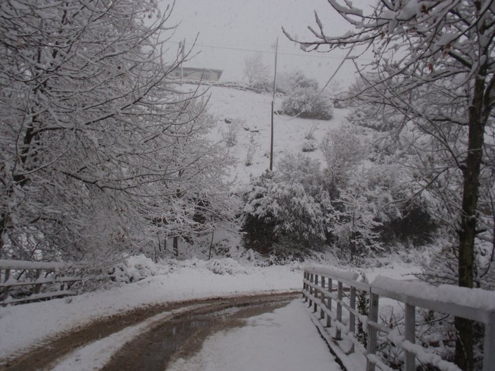 Erbaa Çamdibi Köyü Resimleri 3