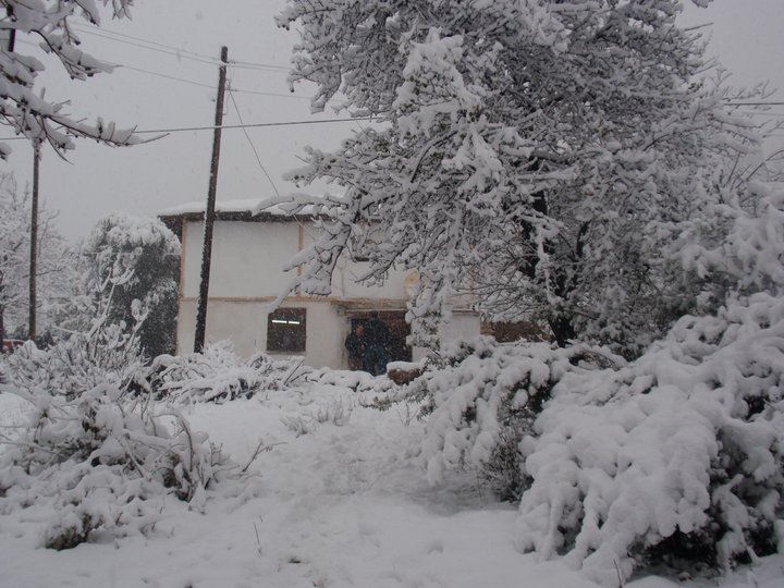 Erbaa Çamdibi Köyü Resimleri 4