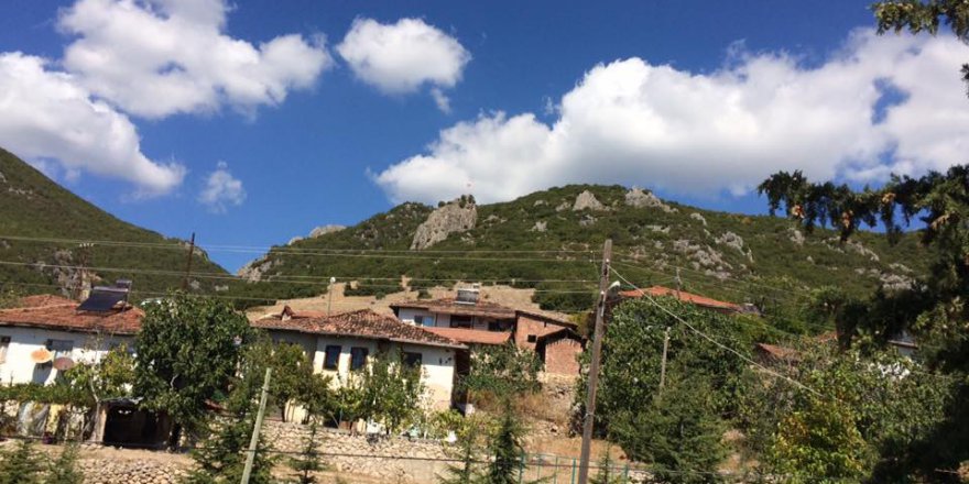 Erbaa Çamdibi Köyü Resimleri