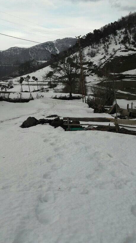 Erbaa Çatalan Köyü Resimleri 12