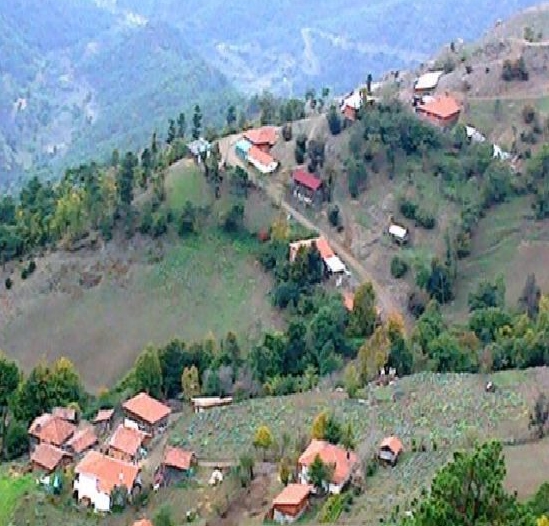 Erbaa Çatalan Köyü Resimleri 13