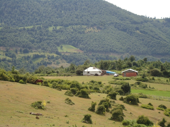 Erbaa Çatalan Köyü Resimleri 14