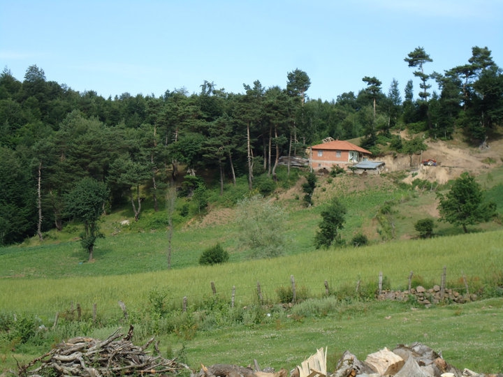 Erbaa Çatalan Köyü Resimleri 6