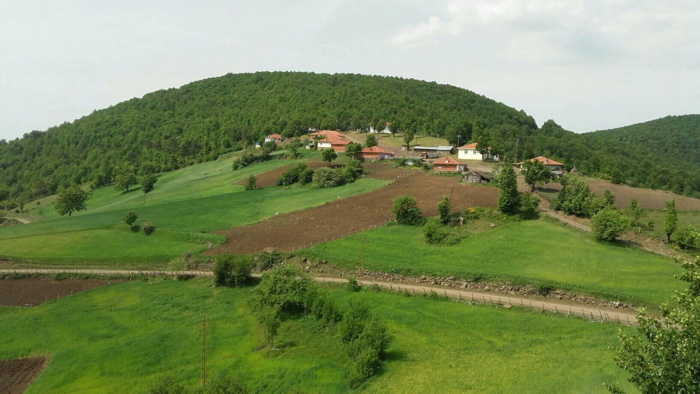 Erbaa Çatalan Köyü Resimleri 7