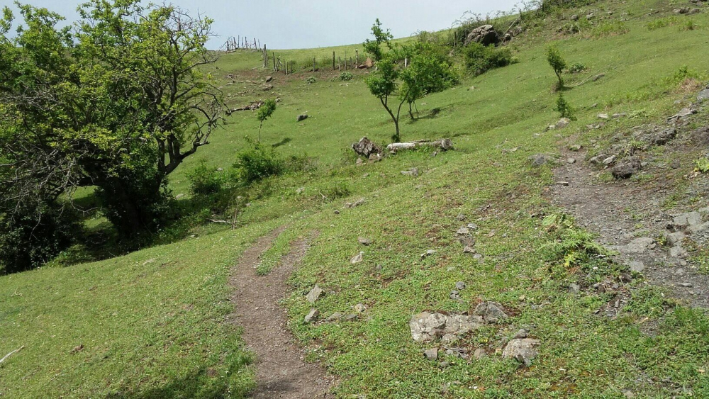 Erbaa Çatalan Köyü Resimleri 8