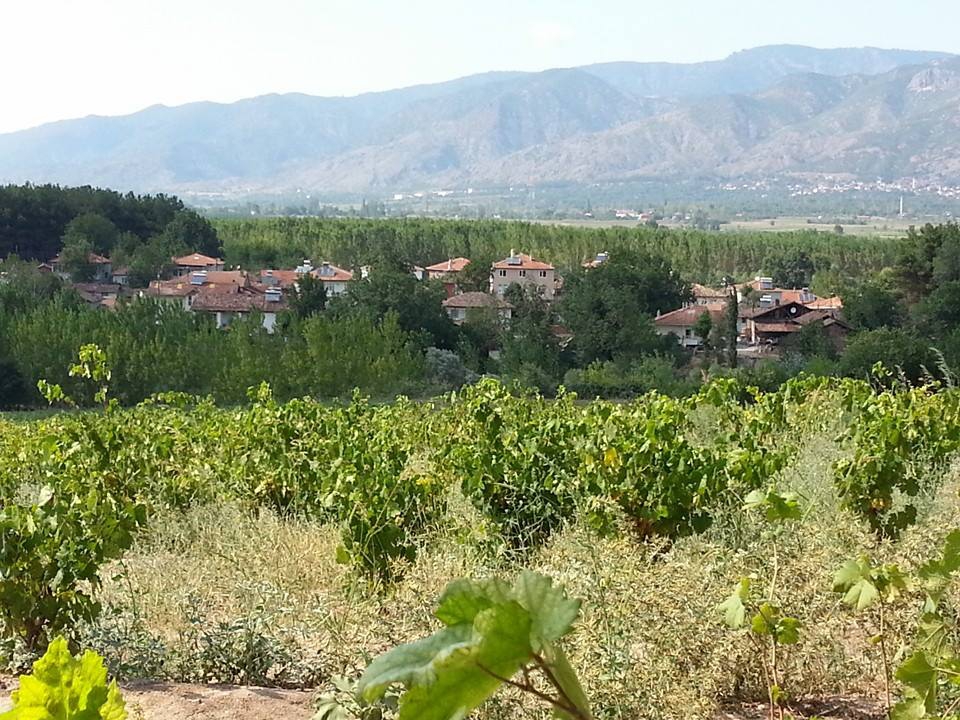 Erbaa Çatılı Köyü Resimleri 1