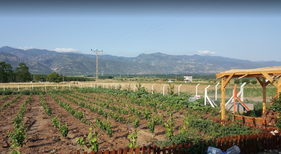 Erbaa Çatılı Köyü Resimleri 11