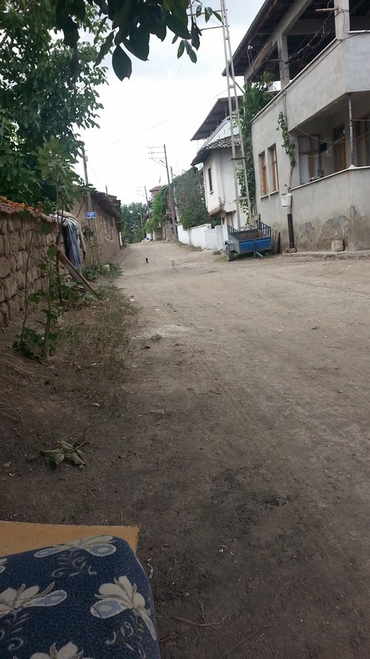 Erbaa Çatılı Köyü Resimleri 4