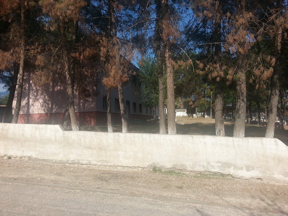 Erbaa Çatılı Köyü Resimleri 5