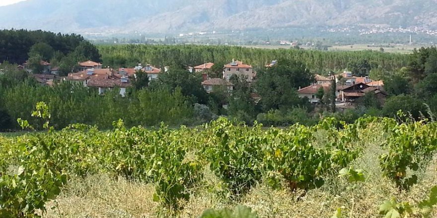 Erbaa Çatılı Köyü Resimleri