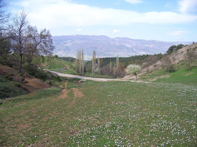 Erbaa Demirtaş Köyü Resimleri 2
