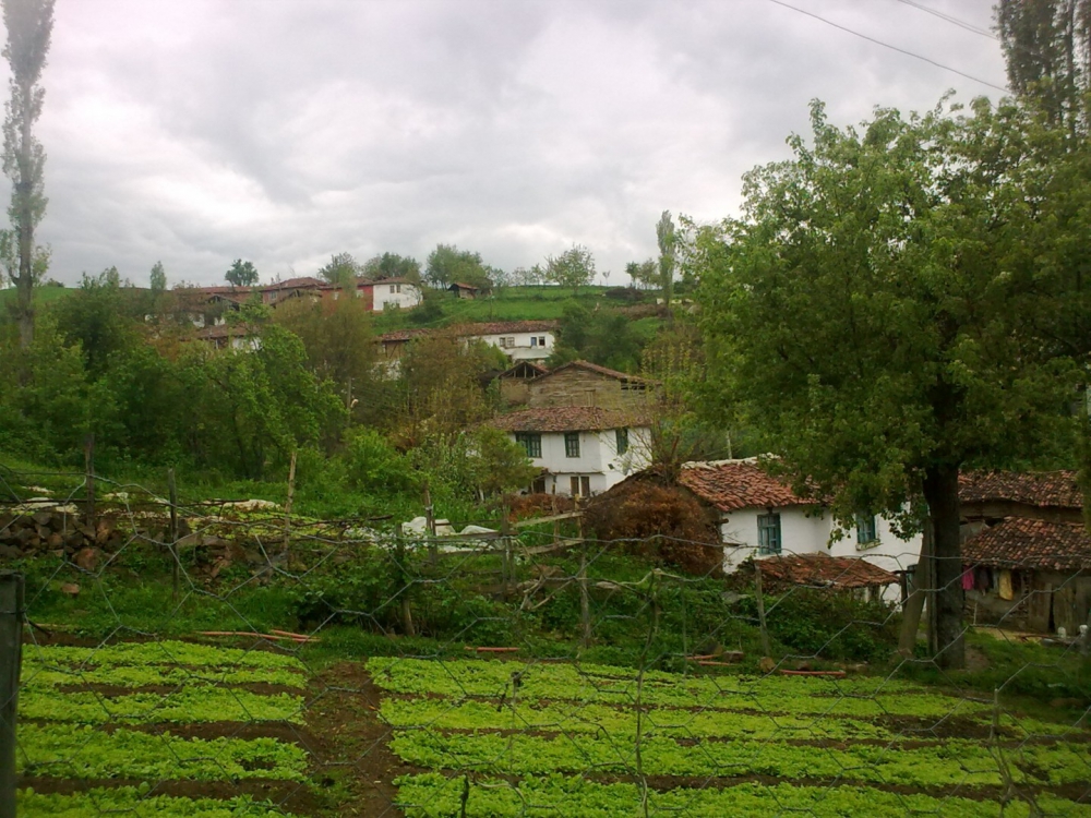Erbaa Demirtaş Köyü Resimleri 8