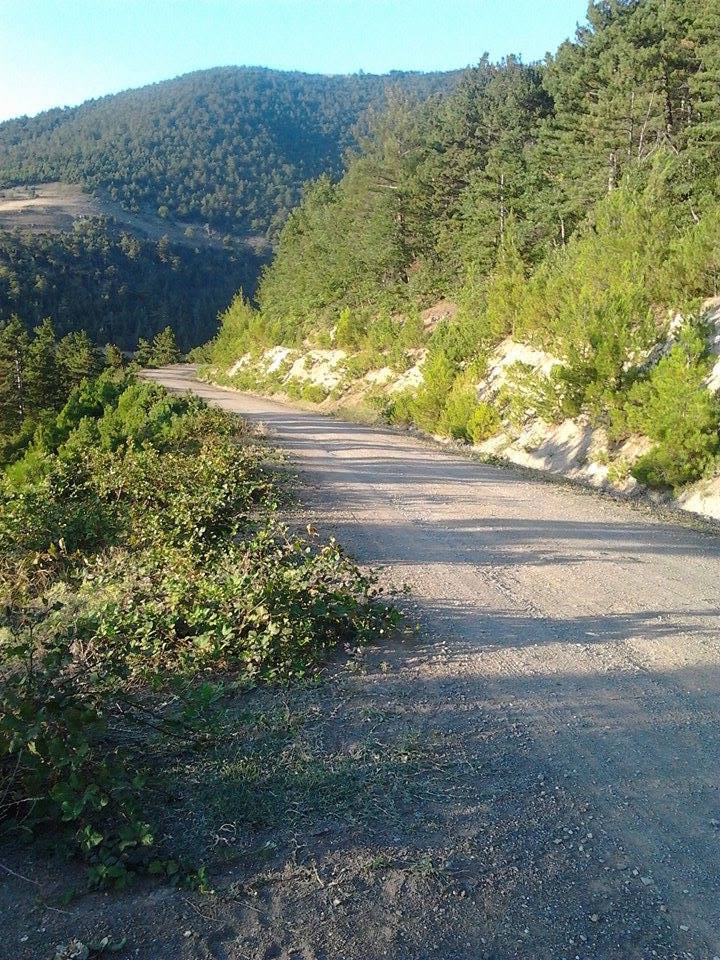 Erbaa Dokuzçam Köyü Resimleri 6